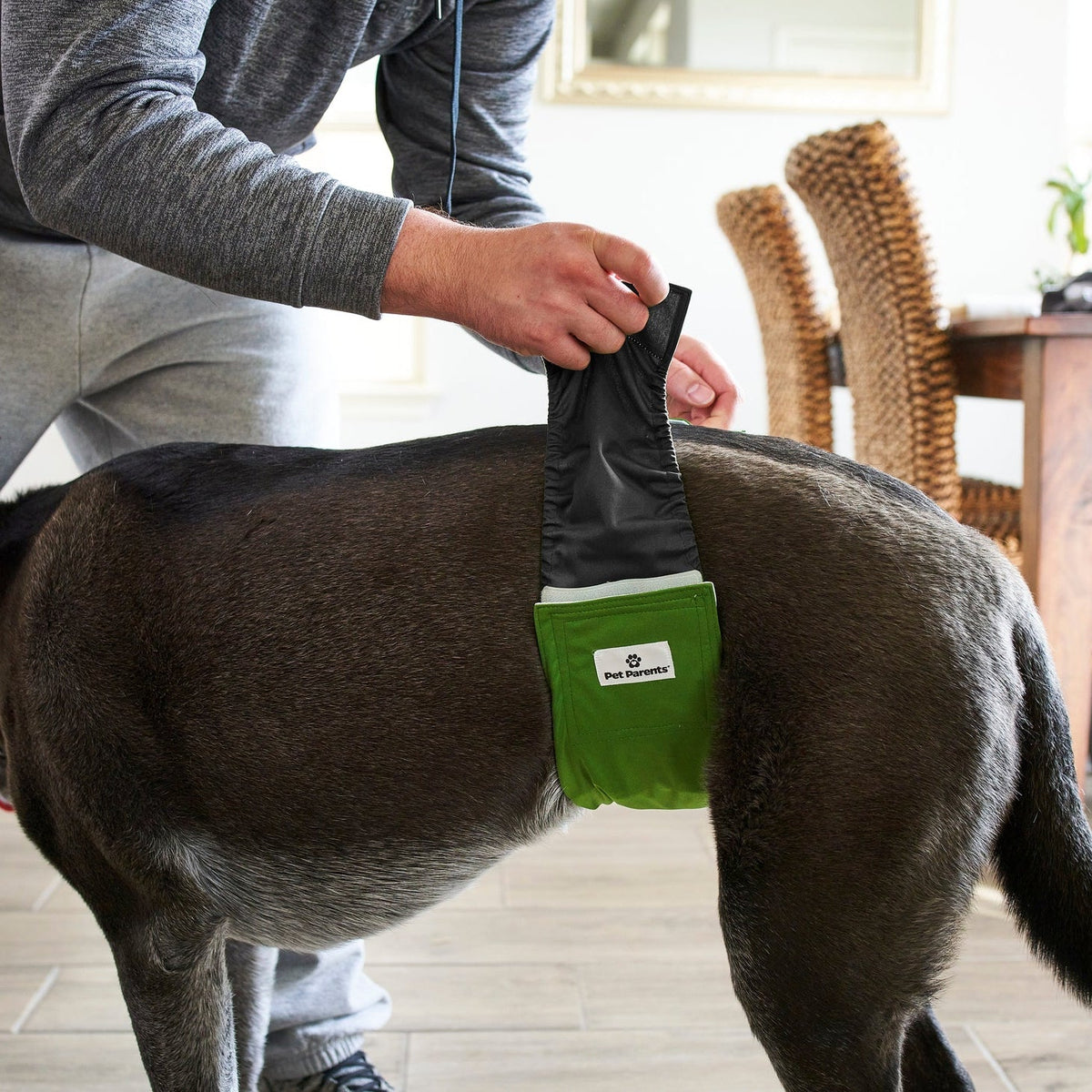 Male Dog Belly Band product image 4