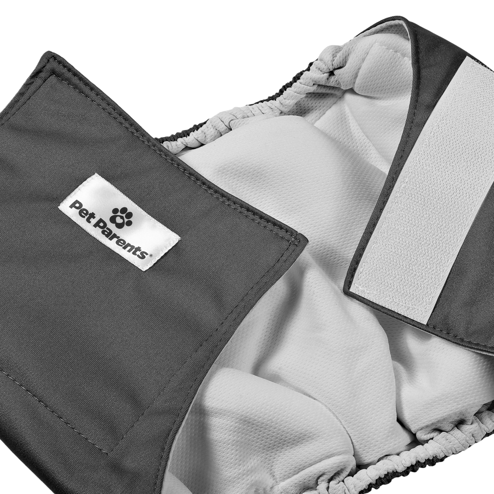 Male Dog Belly Band product image 6