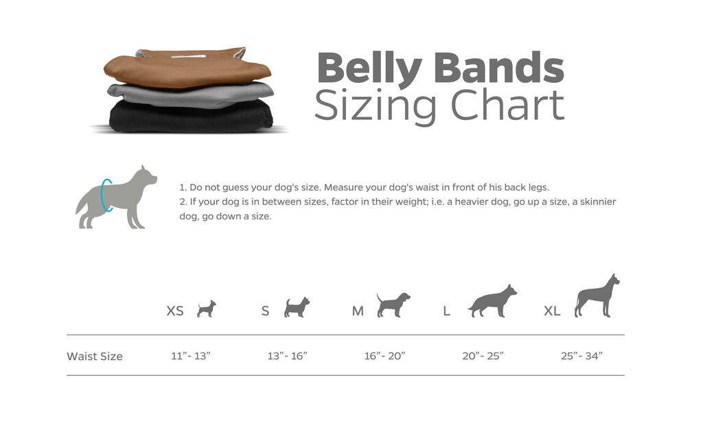 Male Dog Belly Band product image 13