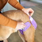 Washable Dog Diapers product image 4