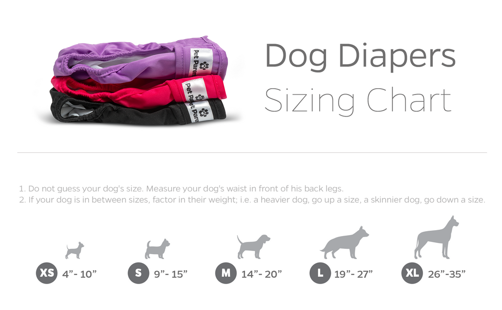 Washable Dog Diapers product image 15