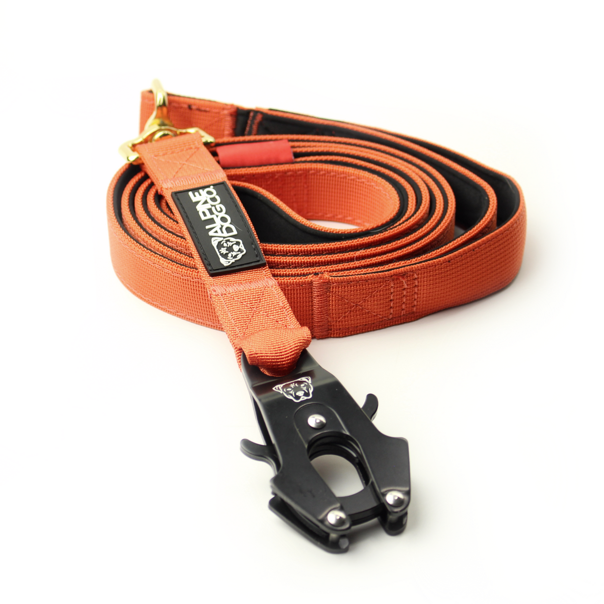 Training Dog Leash product image 1