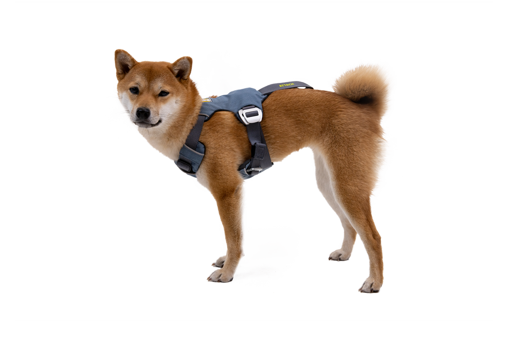 Crash-Tested Dog Car Harness product image 3