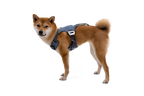 Crash-Tested Dog Car Harness product image 3