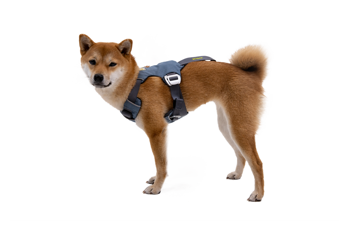 Crash-Tested Dog Car Harness product image 3