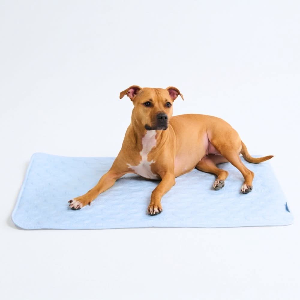 Breathable Cooling Dog Mat product image 3