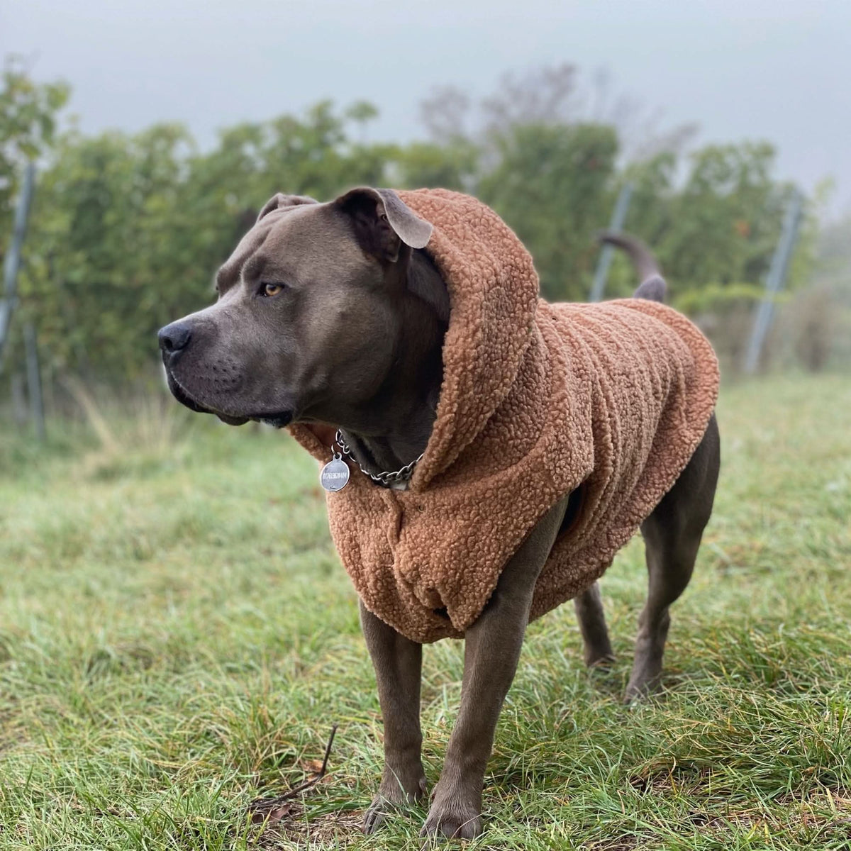 Brown Teddy Sherpa Fleece Dog Jacket product image 3