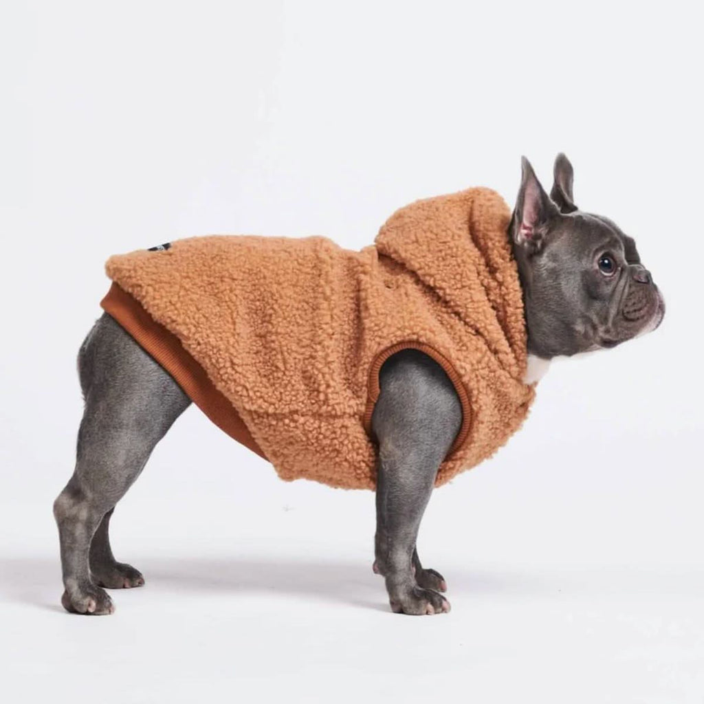 Brown Teddy Sherpa Fleece Dog Jacket, S