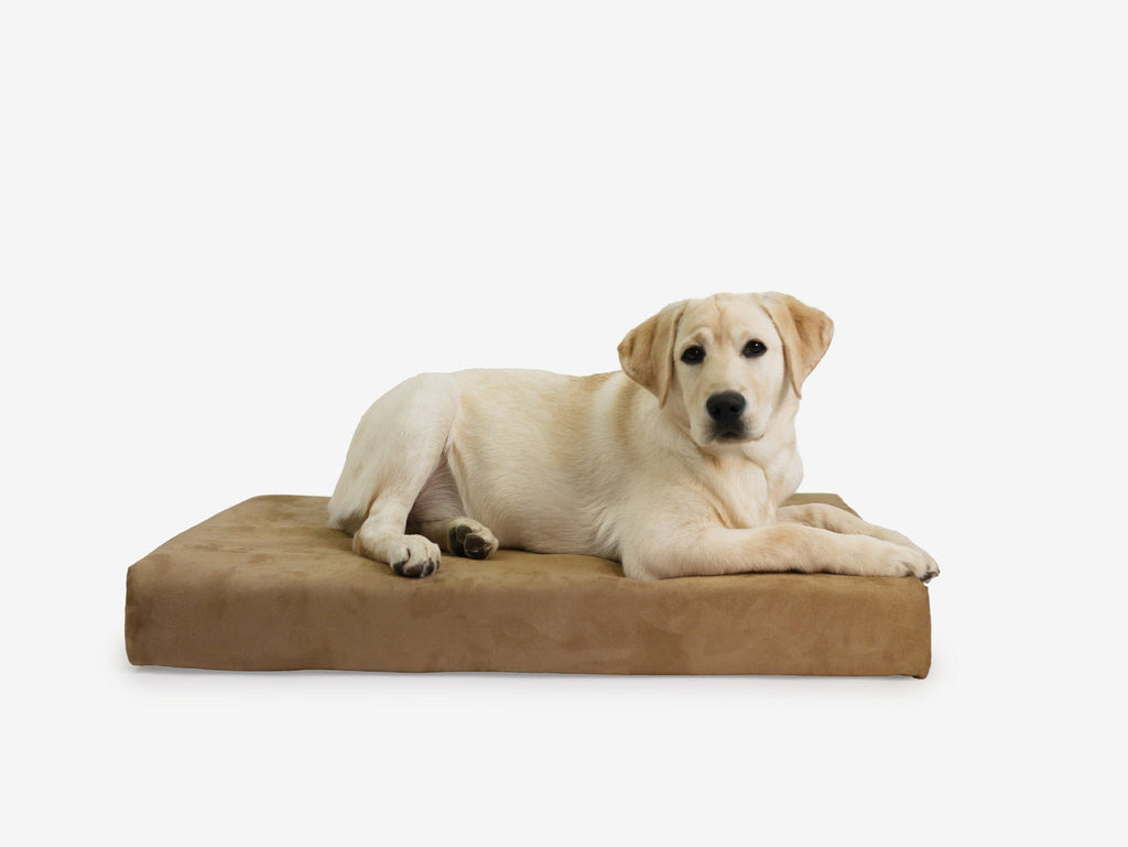 Orthopedic Dog Crate Bed product image 9