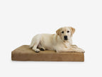 Orthopedic Dog Crate Bed product image 9