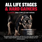 Liquid Muscle Support Supplement for Dogs product image 3