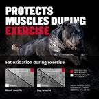 Liquid Muscle Support Supplement for Dogs product image 6
