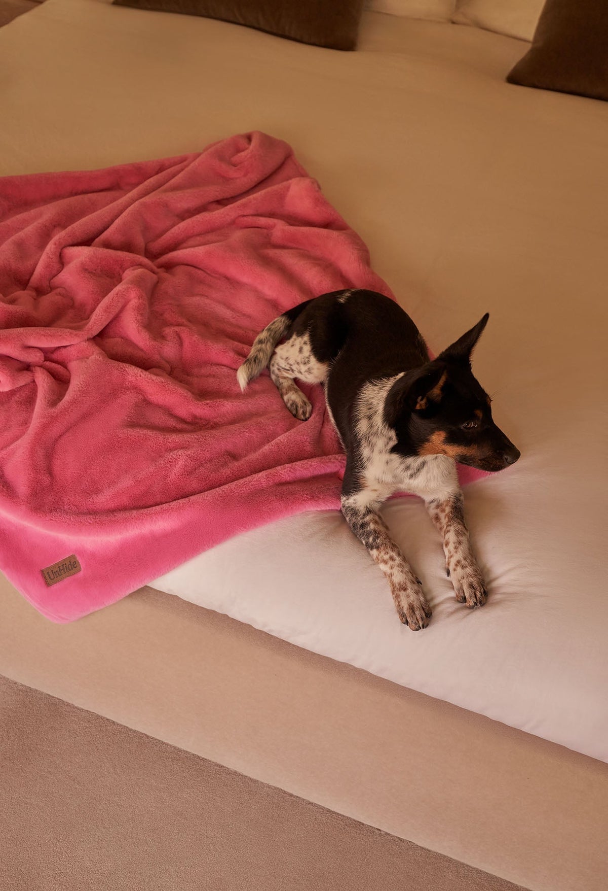 Water-Resistant Pet Blanket product image 58