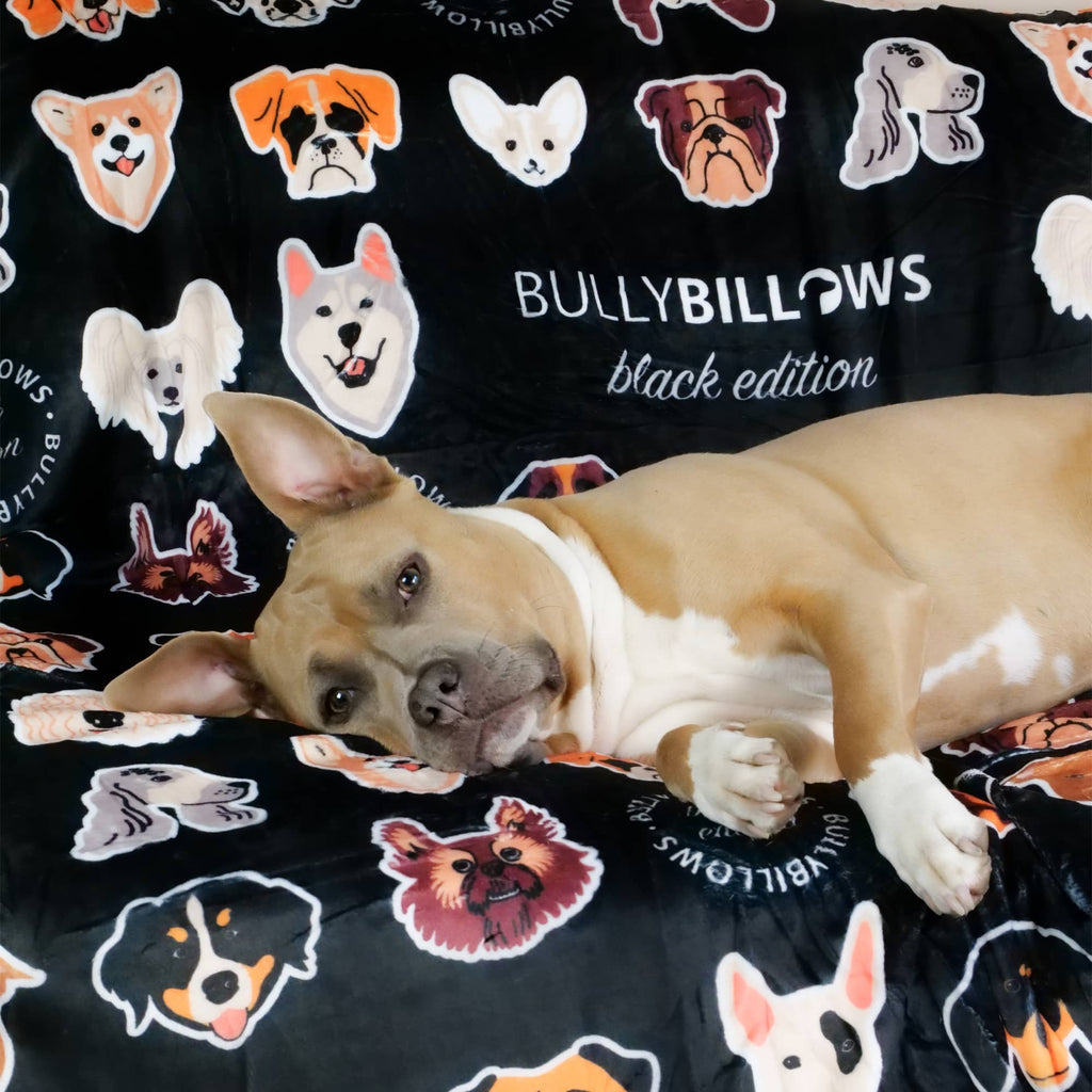 Black Pet Blanket for Dogs and Owners product image 5