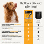 Dog Immune Support Chews product image 6