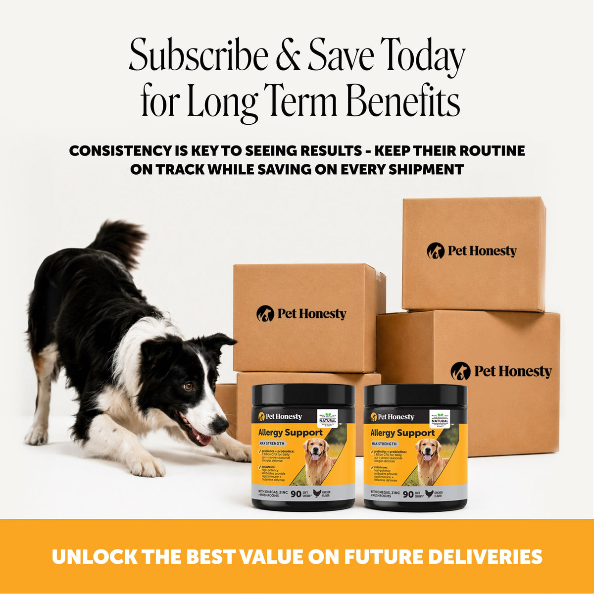 Dog Immune Support Chews product image 8