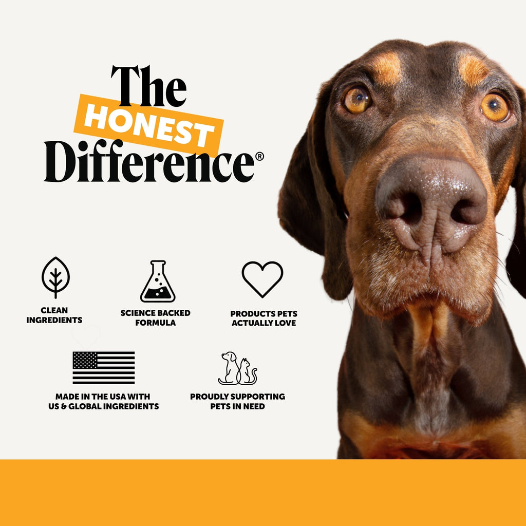Dog Immune Support Chews product image 9