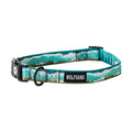 Dog Collar product image 1