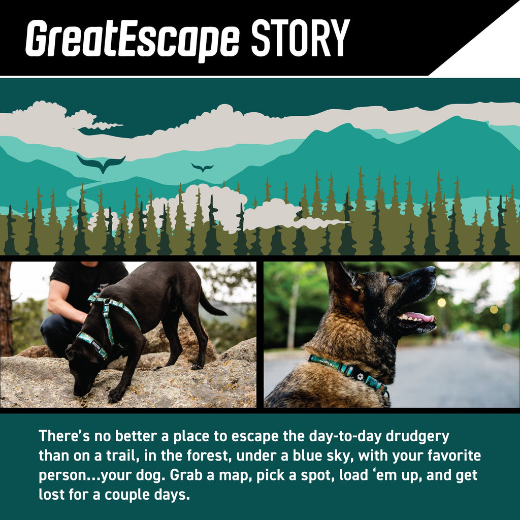 Dog Collar product image 2