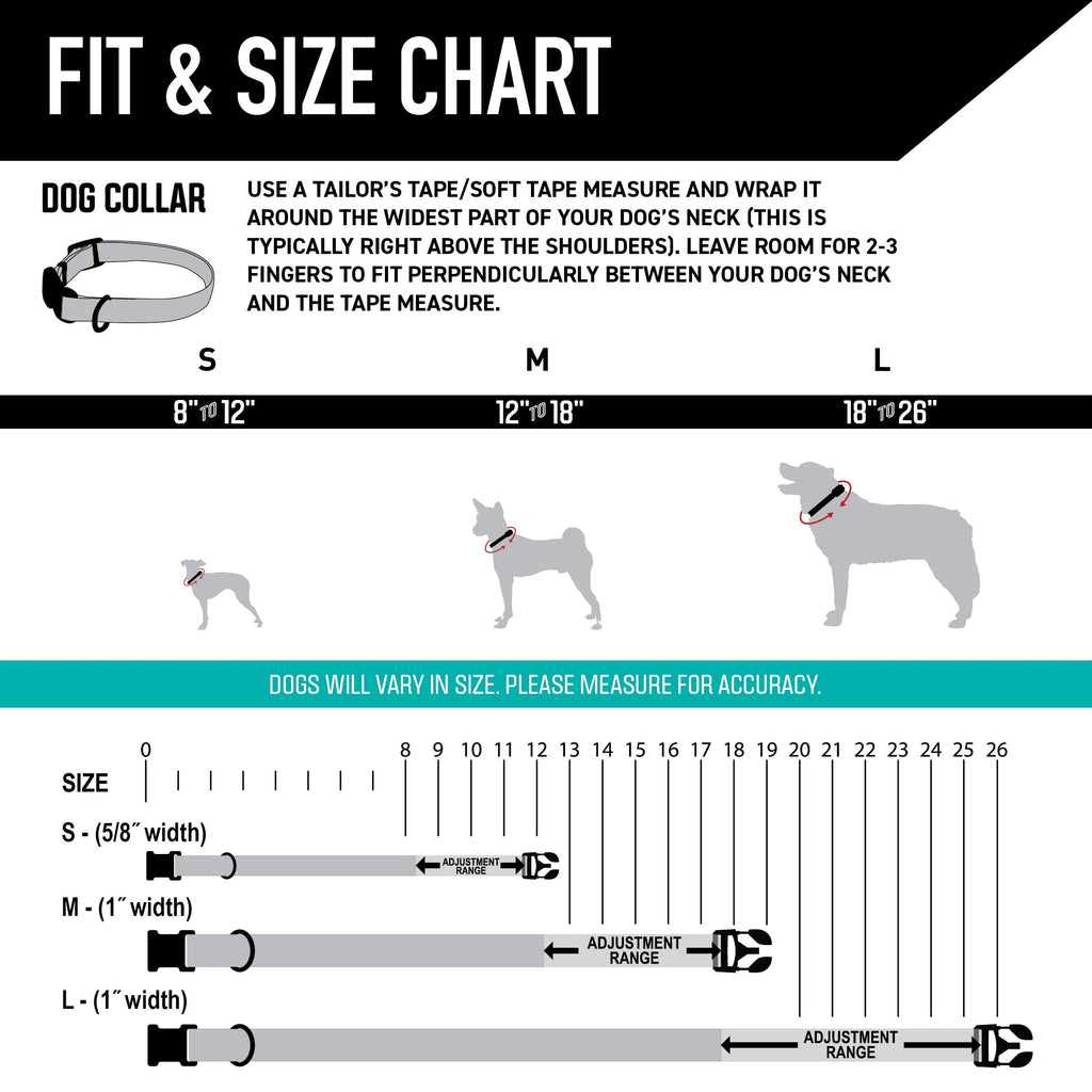 Dog Collar product image 4