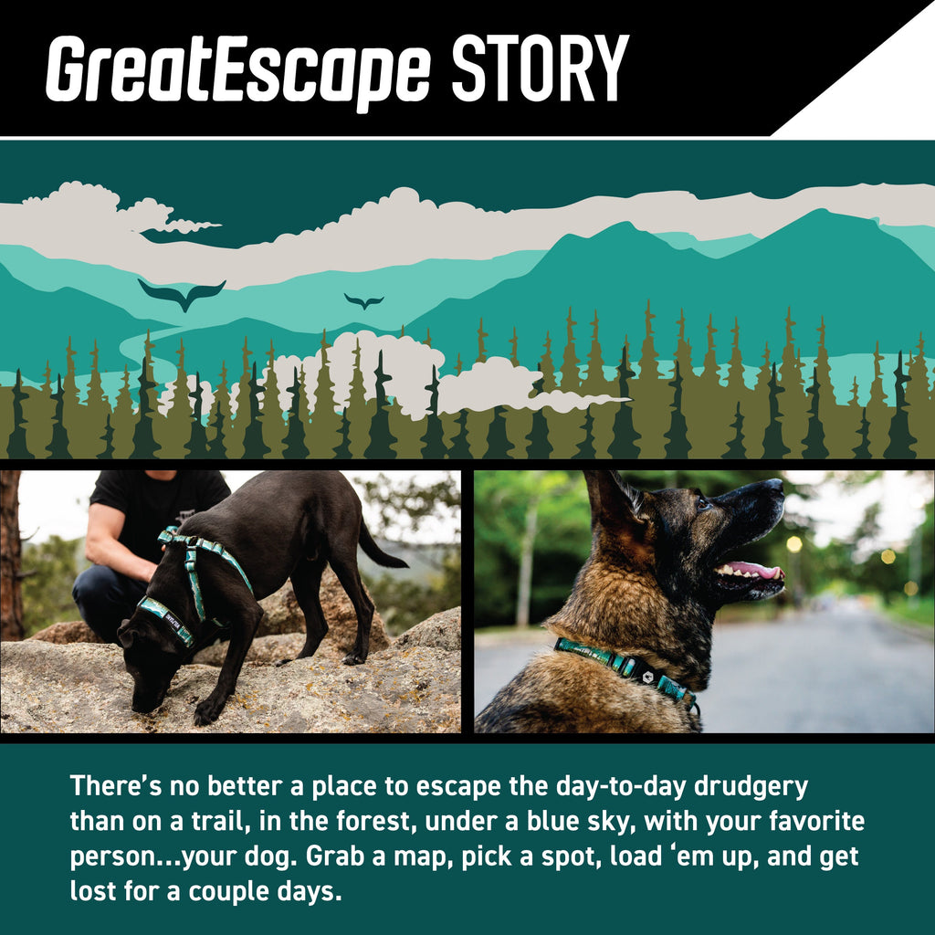 Dog Harness product image 2