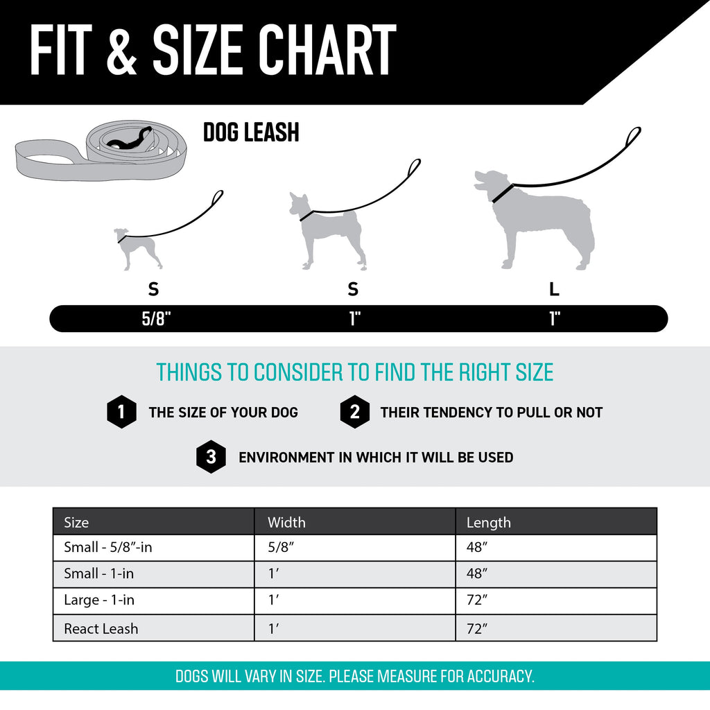Dog Leash product image 4
