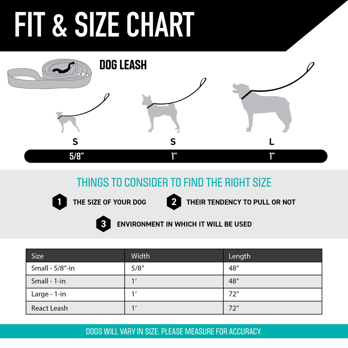 Dog Leash product image 4