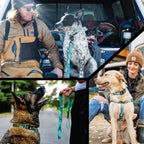 Dog Leash product image 6