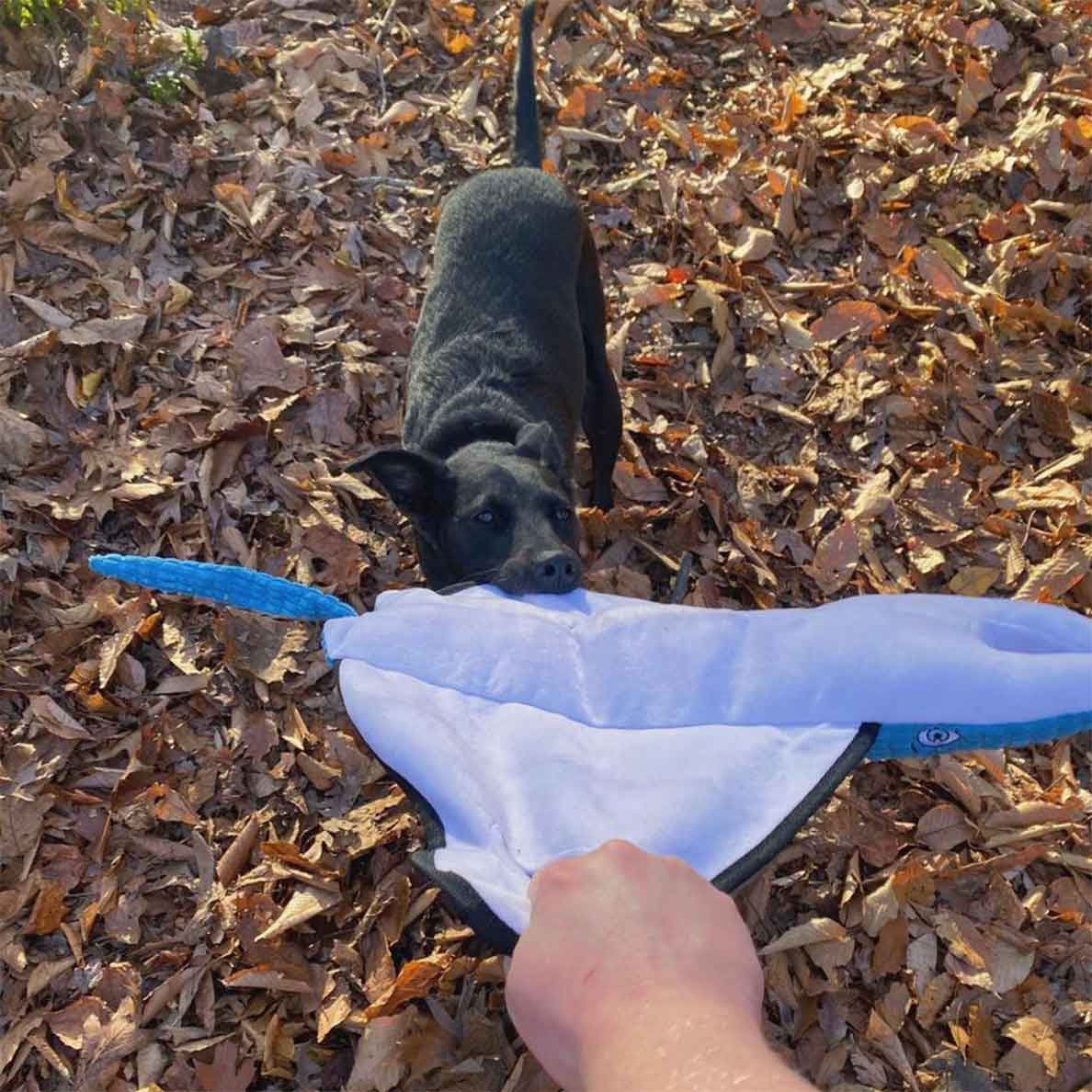 Plush Dog Toy product image 5