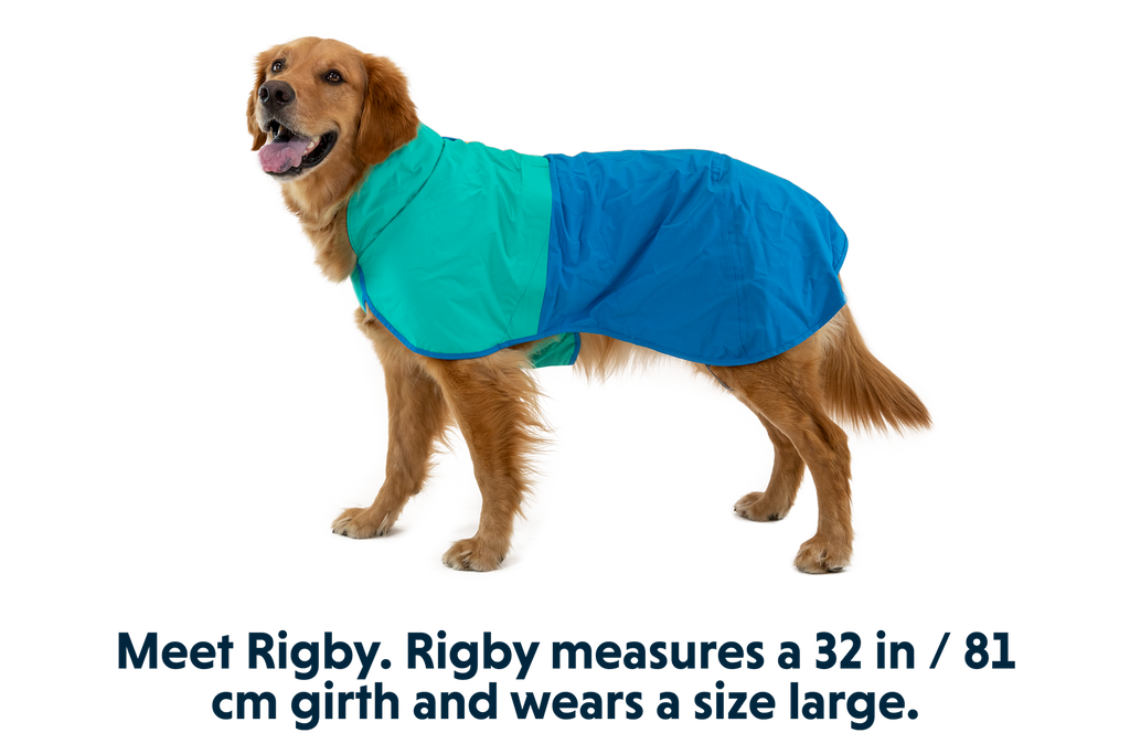 Dog Raincoat product image 5