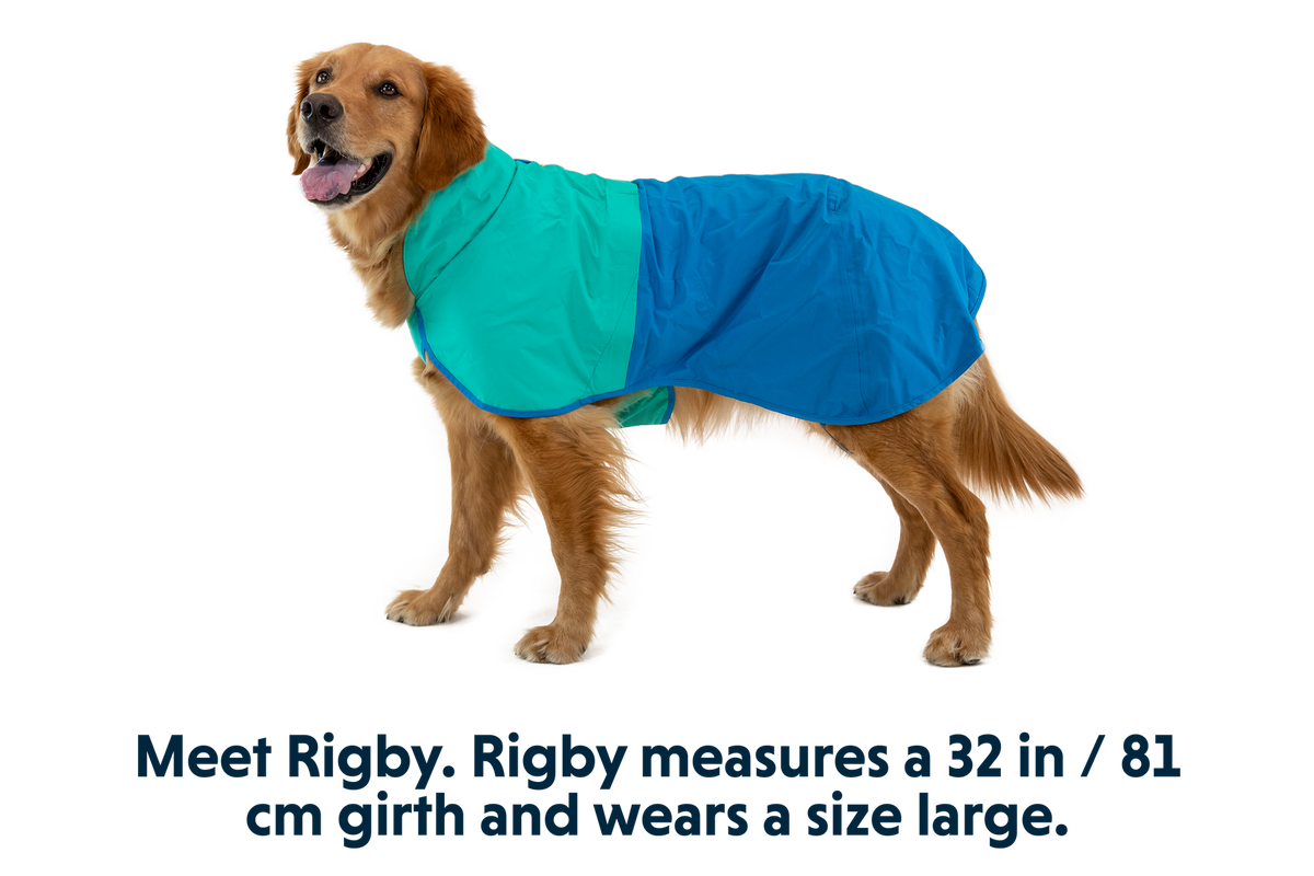 Dog Raincoat product image 5