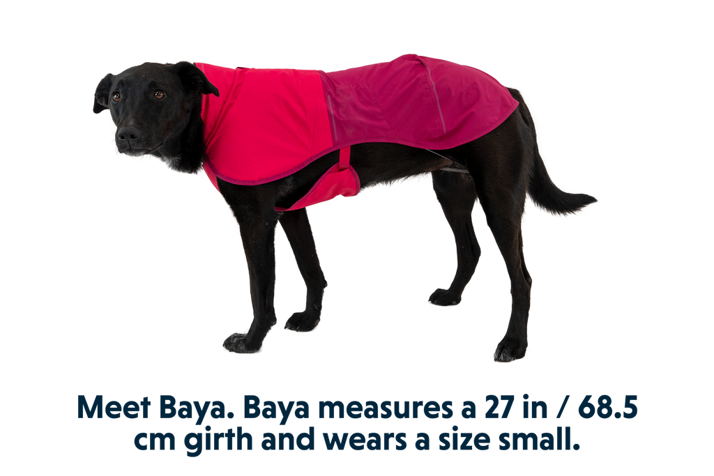 Dog Raincoat product image 14