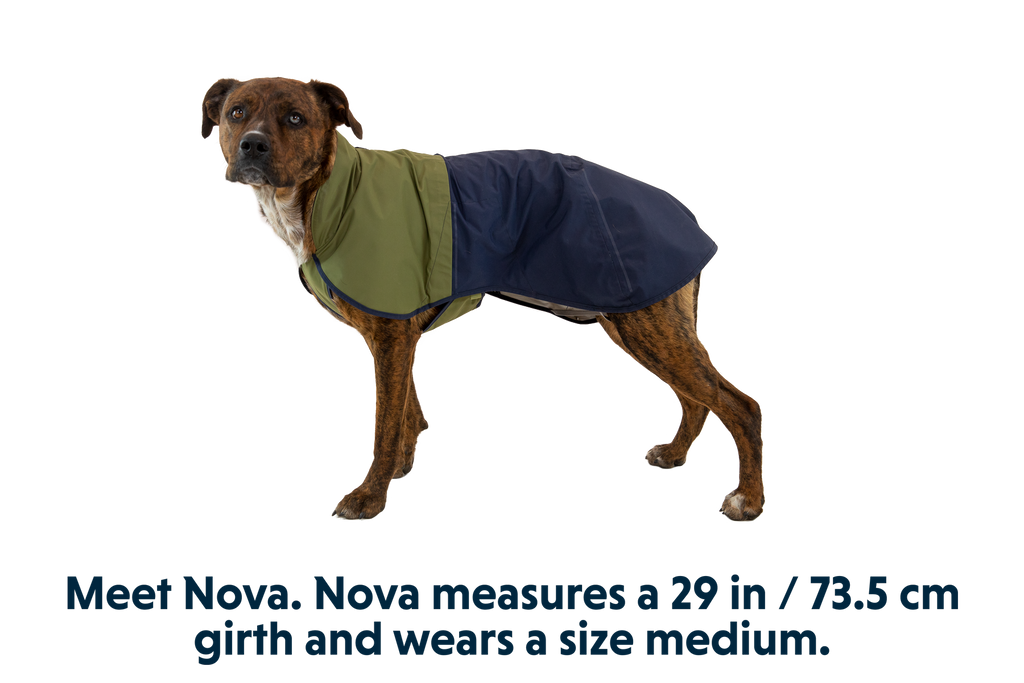 Dog Raincoat product image 24