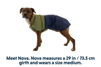 Dog Raincoat product image 24