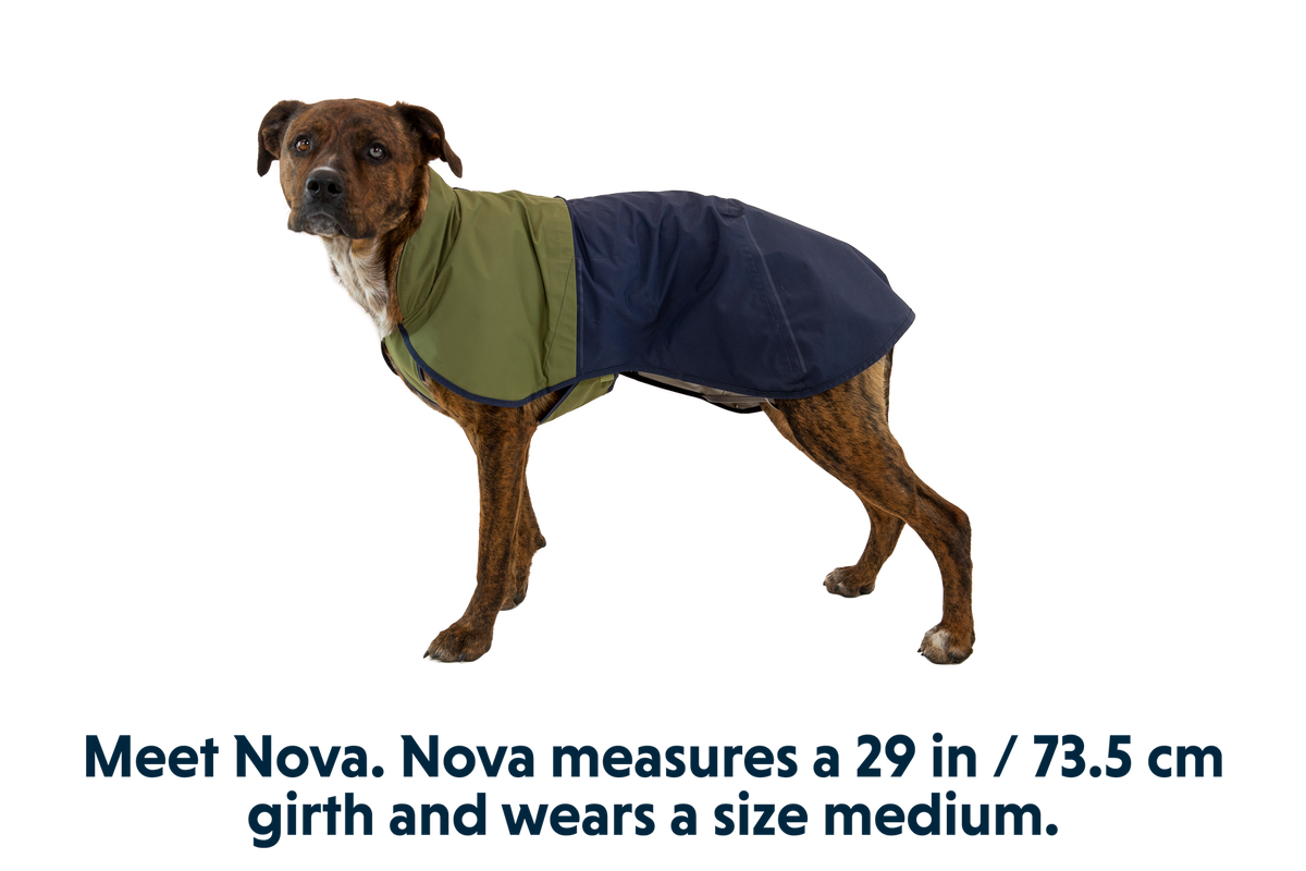 Dog Raincoat product image 24