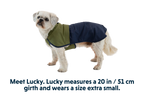 Dog Raincoat product image 32