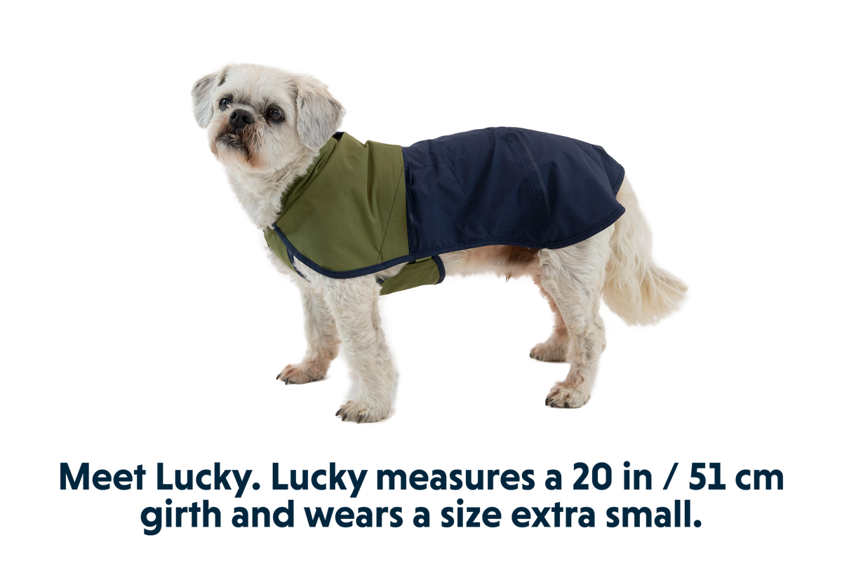 Dog Raincoat product image 32