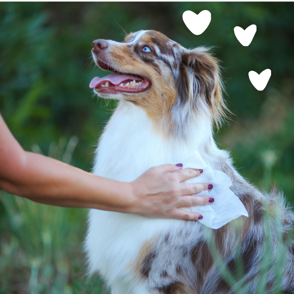 Pet Grooming Wipes product image 4
