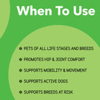 Dog Joint Supplement product image 5