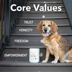 Dog Joint Supplement product image 7