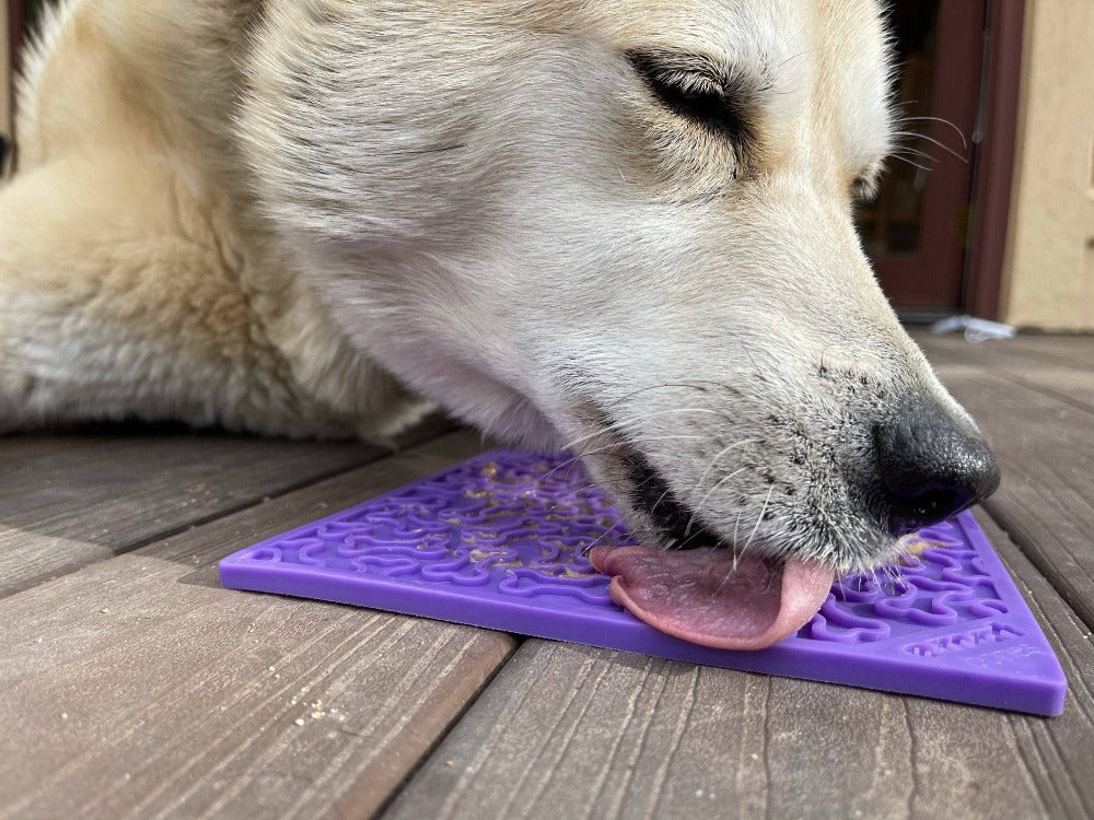Pet Lick Mat product image 7