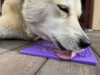 Pet Lick Mat product image 7