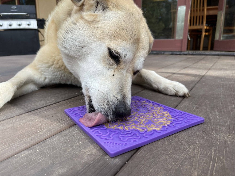 Pet Lick Mat product image 10