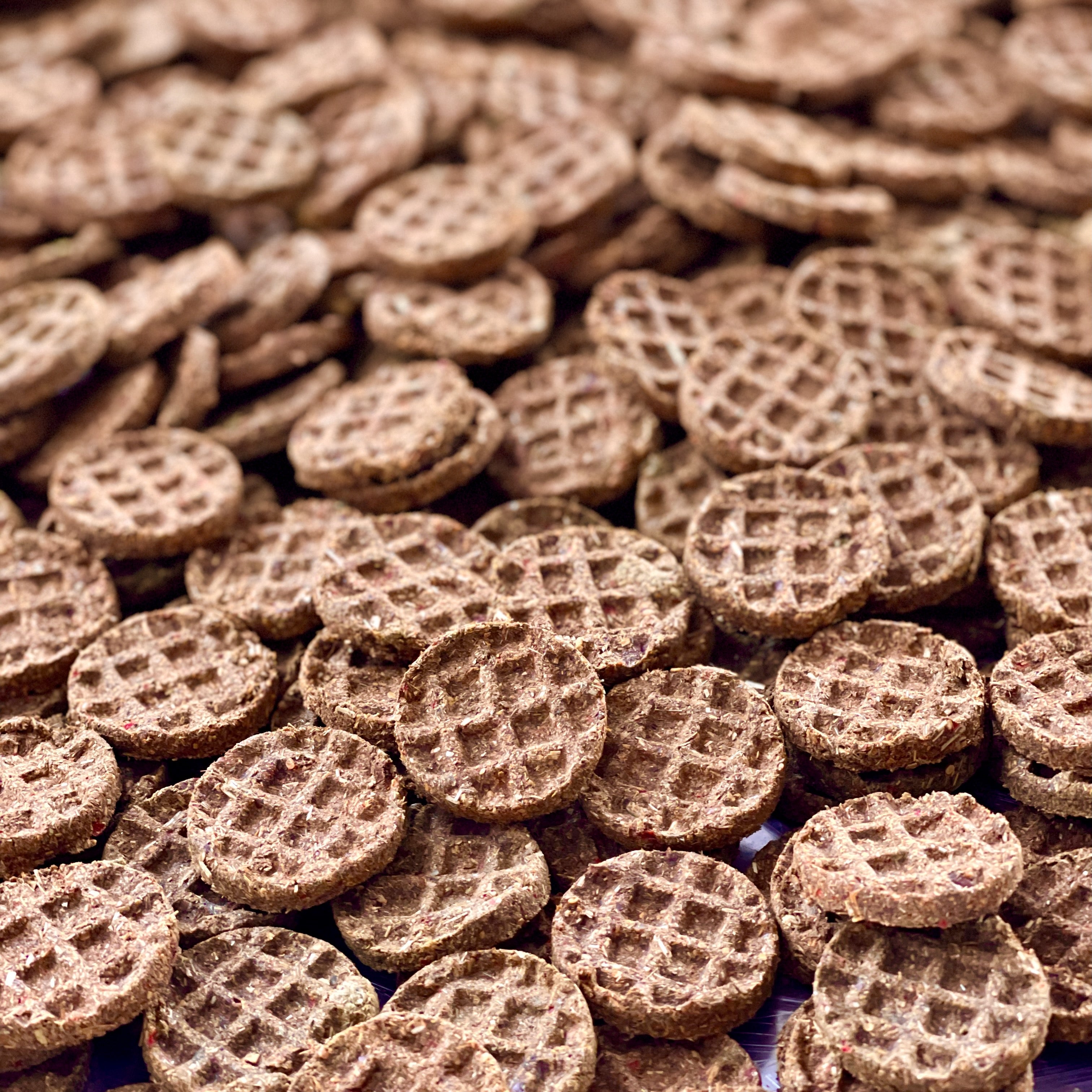 Waffle-Shaped Rabbit Treats product image 1