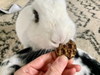 Waffle-Shaped Rabbit Treats product image 9
