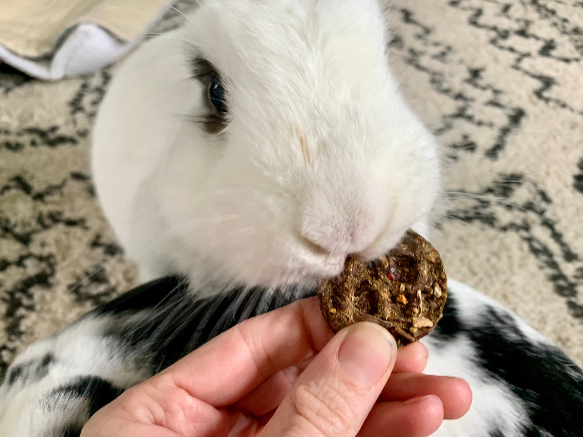 Waffle-Shaped Rabbit Treats product image 9