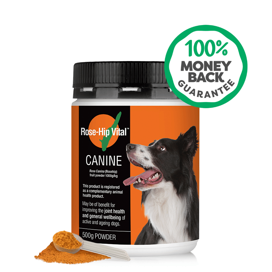 Dog Joint Supplement Powder product image 2