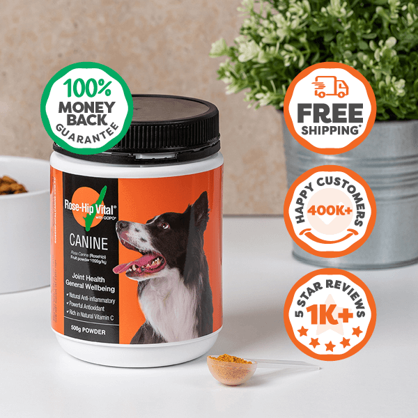 Dog Joint Supplement Powder product image 3