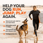 Dog Joint Supplement Powder product image 5
