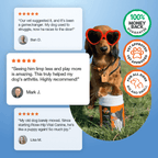 Dog Joint Supplement Powder product image 8